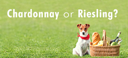 Wine Recommendation Service